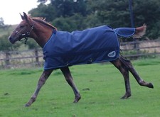 MASTA ZING MEDIUMWEIGHT 170g 600D STANDARD NECK FOAL TURNOUT RUG