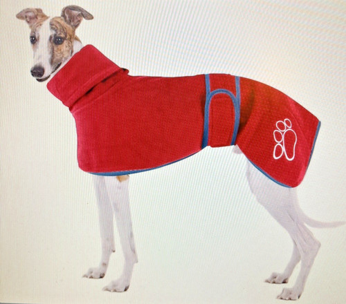 Greyhound whippet lurcher - greyhound, &