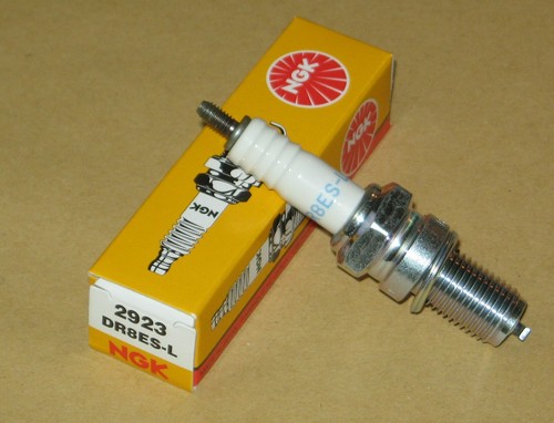 Ngk spark plug - ngk, for