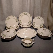 22 piece Alfred Meakin