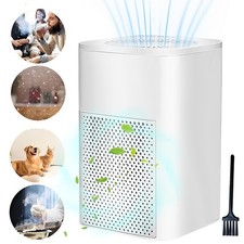 Home Air Purifiers For Large