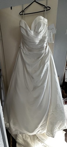 Sophia tolli mon - tolli, cheri
