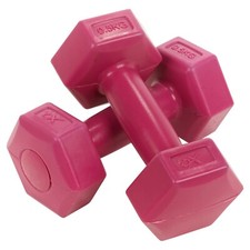500g Pair of Dumbbell Weights