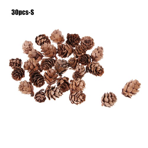 Mini christmas pine cones - mini,