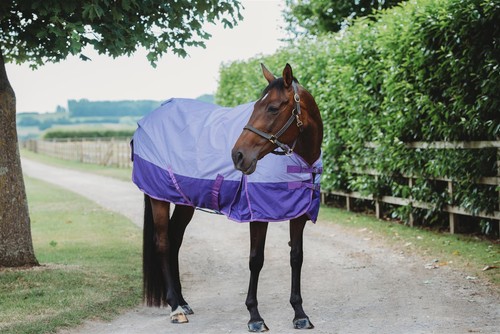Lightweight turnout rug - turnout,