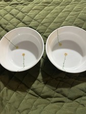 2 x Aynsley Daisy Chain Soup/
