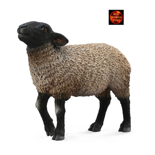 Suffolk sheep farm - suffolk, toy
