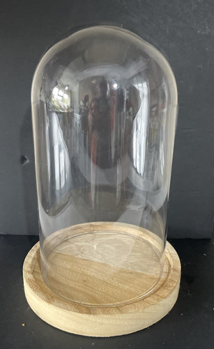 Vintage glass cloche - vintage, jar