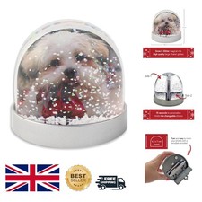 Contemporary Snow Globes with