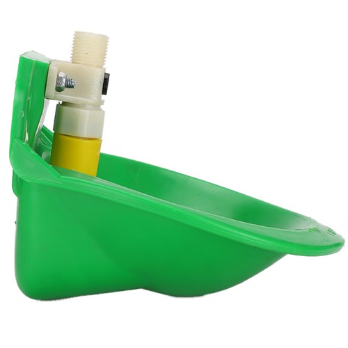 Sheep water bowls - water,