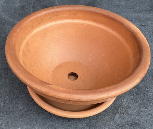 One clay plant pot - one,