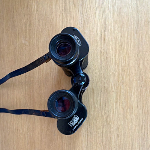 Carl zeiss jenoptem - carl,