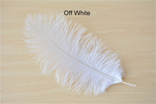60cm long quality ostrich - 55-60cm,