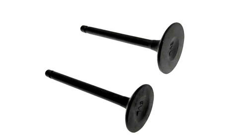 Inlet exhaust valves - inlet,