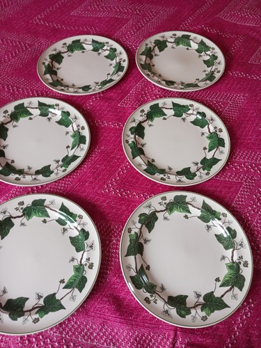 Napoleon ivy wedgewood dinner - napoleon,
