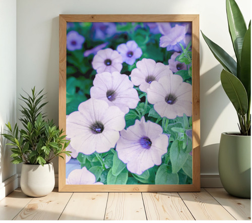 Print photo a bunch - print, of