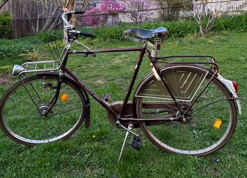 Gazelle