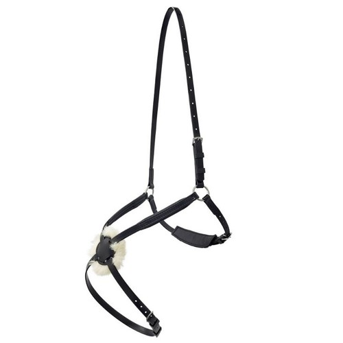 Zilco padded grackle - grackle, noseband