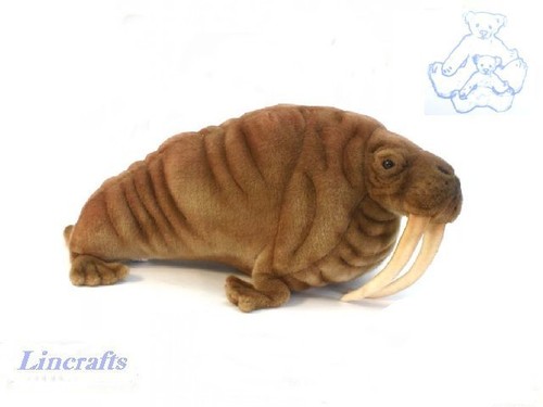 Hansa walrus 5331 - walrus, soft
