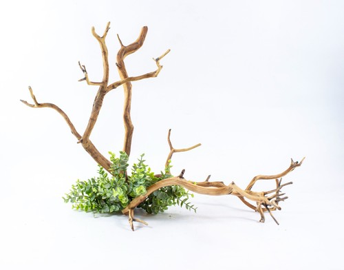 Manzanita aquarium driftwood - driftwood, 2