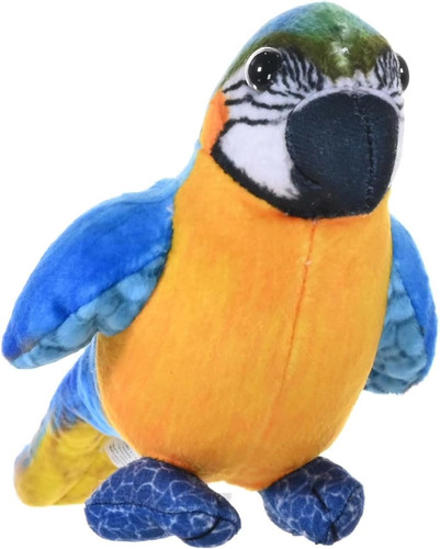 Rainforest blue yellow - rainforest,