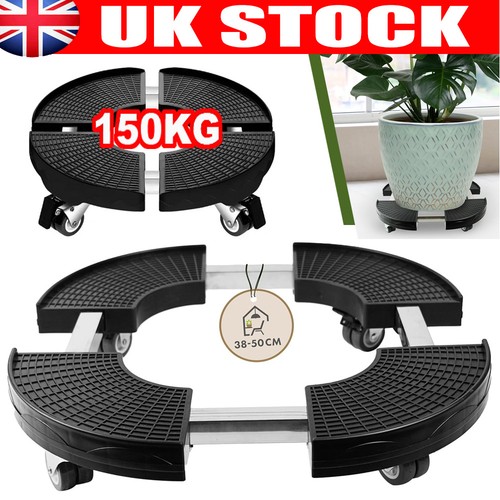 Plant caddy - plant,