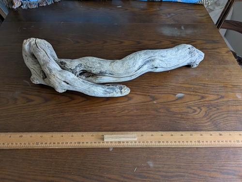 Interesting driftwood stick - driftwood,