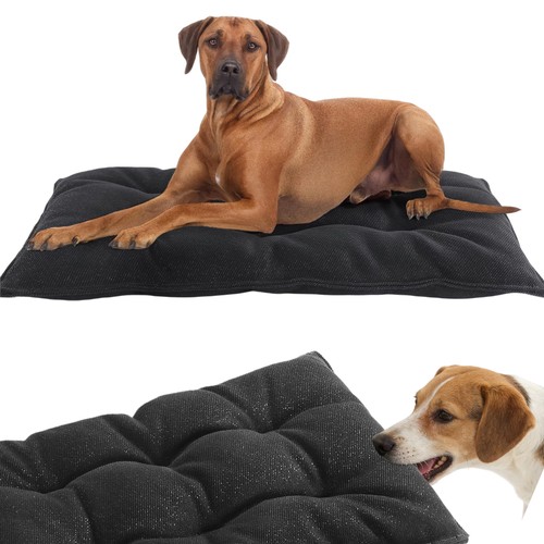 Durable indestructible dog - indestructible, bed