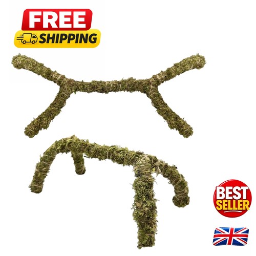 Natural moss vine for leopard - for,