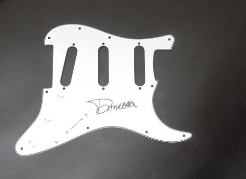 Signed dimebag darrell - dimebag, pantera