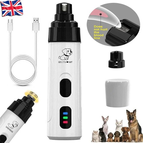Pet dog cat nail claw - cat,