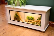 Modern white reptile vivarium - modern,