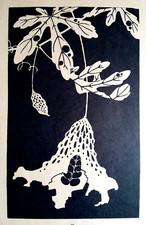 ITO JAKUCHU Japanese Print