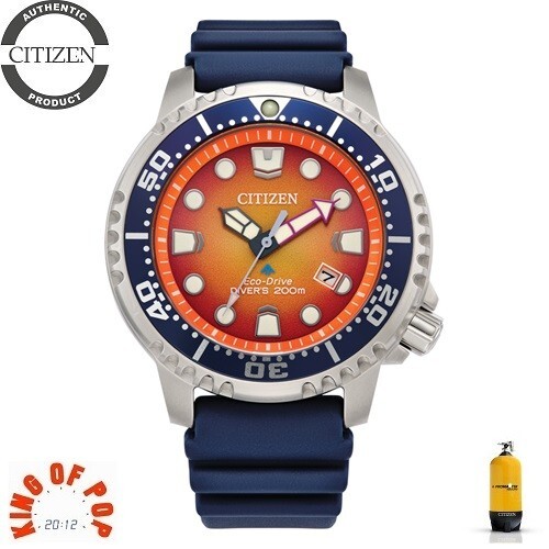 Citizen bn0169 03x promaster - bn0169-03x,