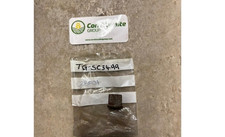 Teagle Bush - SC3499