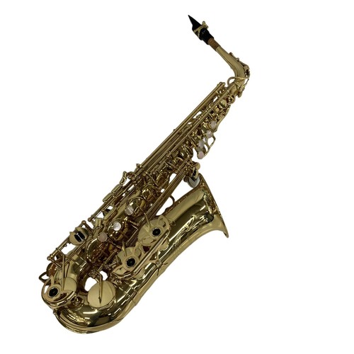 Yanagisawa 500 alto - yanagisawa,