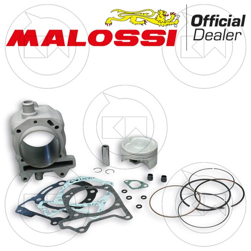 Malossi 3113955 thermal - , group