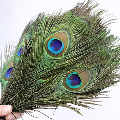 20pcs long natural - long, peacock