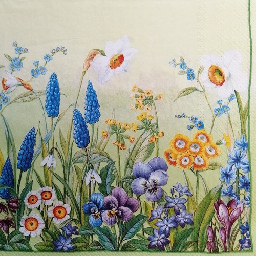 Paper napkins for - 12, x