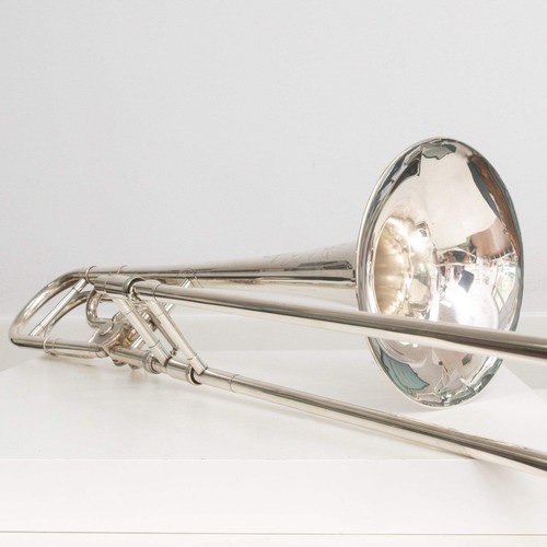Schmelzer model tenor - model,