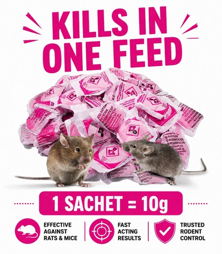 Super strong ratimor rat - ratimor, &