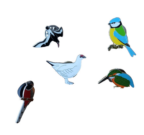 Birds rspb pin badge - rspb,