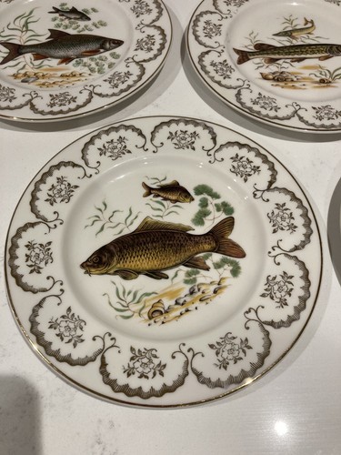 Fine english bone - english, china