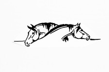 Lovely Horses Car SUV Van Trailer Sticker - Vinyl Bumper Decal Adhesive