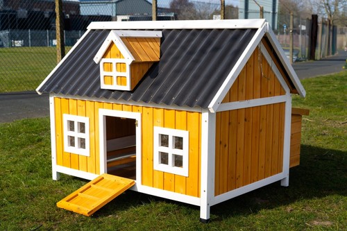 Large chicken coop - chicken, hen
