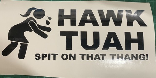 Hawk tuah car vinyl sticker - tuah,