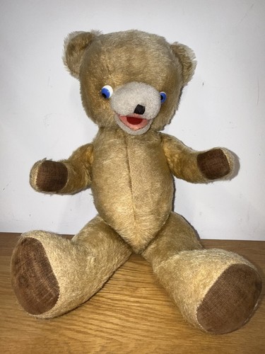 Vintage large pedigree teddy - vintage,