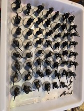 Wargames Foundry 28mm Ww1