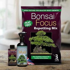 Small Bonsai Care Kit Includes