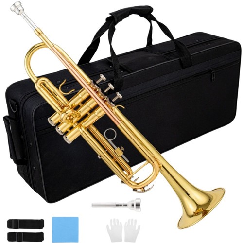 Standard trumpet set brass - trumpet,